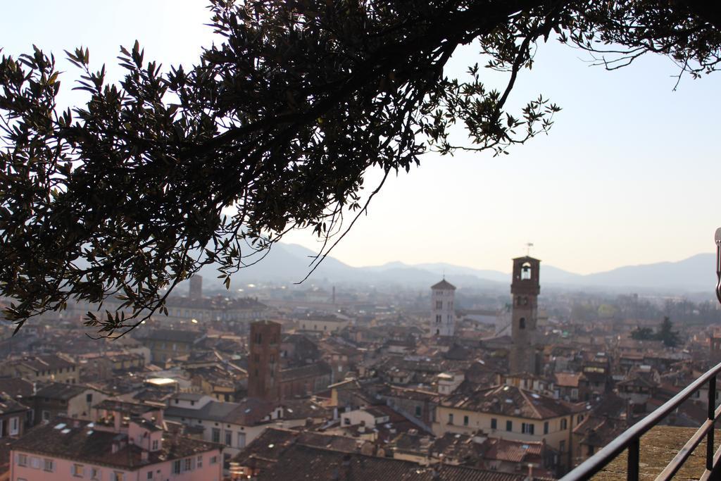 La Terrazza Da Ernestina Leilighet Lucca Eksteriør bilde